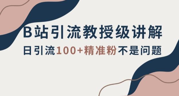 B站引流教授级讲解，细节满满，日引流100+精准粉不是问题【揭秘】-创薯资源