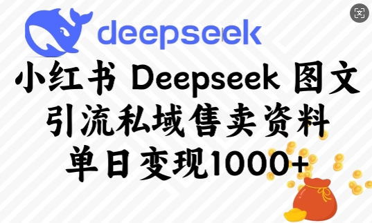 小红书Deepseek图文引流私域售卖资料，单日变现多张-创薯资源