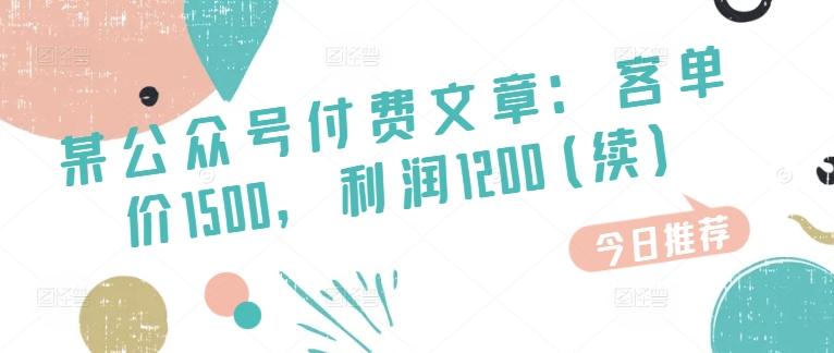 某公众号付费文章：客单价1500，利润1200(续)，市场几乎可以说是空白的-创薯资源