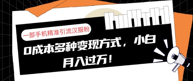 一部手机精准引流汉服粉，0成本多种变现方式，小白月入过万！-创薯资源