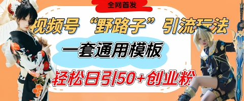 视频号“野路子”玩法，评论区疯狂截流，一套模板单日单号引流50+创业粉-创薯资源