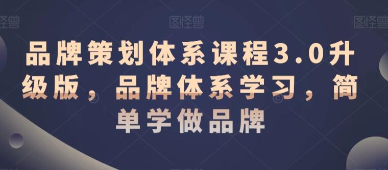 品牌策划体系课程3.0升级版，品牌体系学习，简单学做品牌-创薯资源