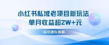 小红书私域项目新玩法，单月变现过W+-创薯资源