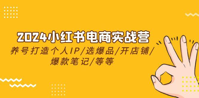 2024小红书电商实战营，养号打造IP/选爆品/开店铺/爆款笔记/等等(24节)-创薯资源