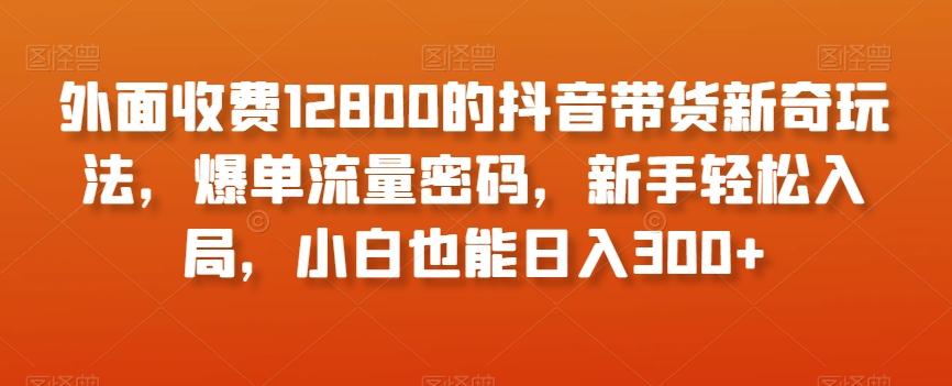 外面收费12800的抖音带货新奇玩法，爆单流量密码，新手轻松入局，小白也能日入300+【揭秘】-创薯资源