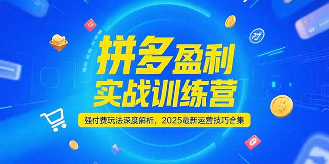 拼多多盈利实战训练营，强付费玩法深度解析，2025运营技巧合集-更新6月-创薯资源