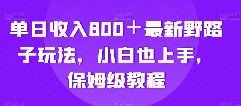单日收入800＋最新野路子玩法，小白也上手，保姆级教程-创薯资源
