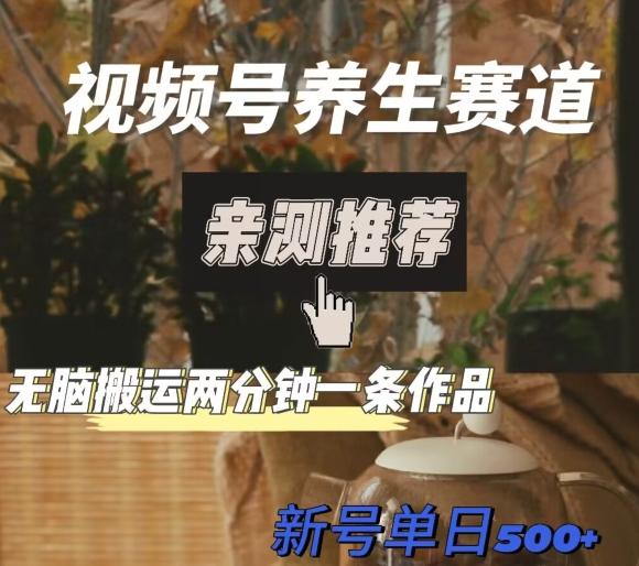 视频号养生赛道暴力掘金，无脑搬运，两分钟一条作品-新日单入500+-创薯资源