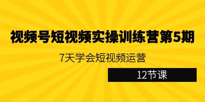 视频号短视频实操训练营第5期：7天学会短视频运营(12节课)-创薯资源