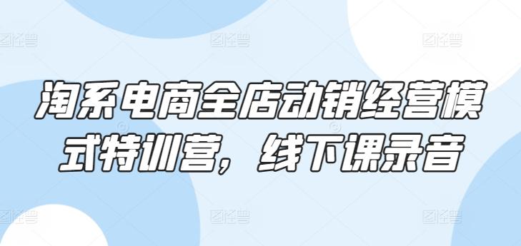 淘系电商全店动销经营模式特训营，线下课录音-创薯资源