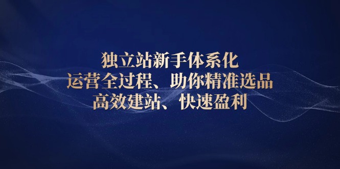独立站新手体系化 运营全过程，助你精准选品、高效建站、快速盈利-创薯资源