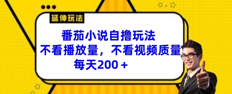 番茄小说自撸玩法，不看播放量，不看视频质量，每天200+【揭秘】-创薯资源
