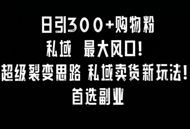 日引300+购物粉，超级裂变思路，私域卖货新玩法，小红书首选副业【揭秘】-创薯资源