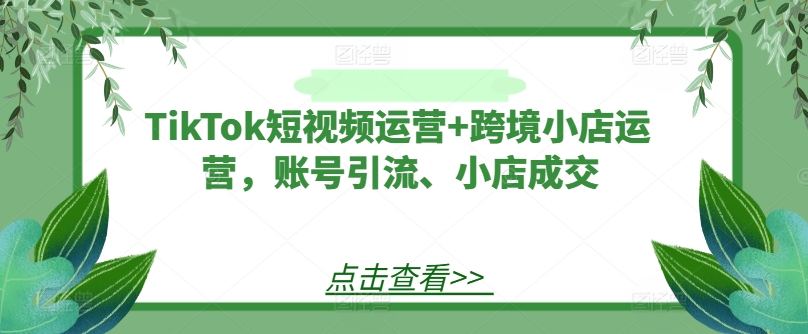 TikTok短视频运营+跨境小店运营，账号引流、小店成交-创薯资源