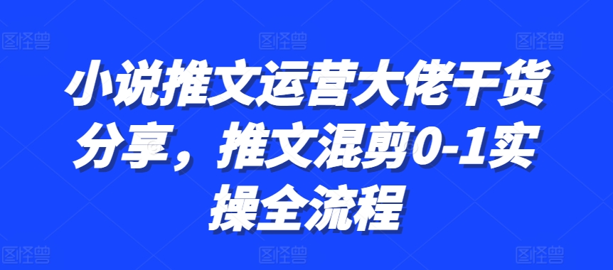 小说推文运营大佬干货分享，推文混剪0-1实操全流程-创薯资源