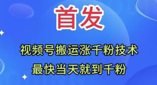 全网首发：视频号无脑搬运涨千粉技术，最快当天到千粉【揭秘】-创薯资源