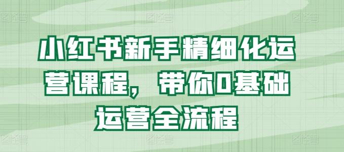 小红书新手精细化运营课程，带你0基础运营全流程-创薯资源