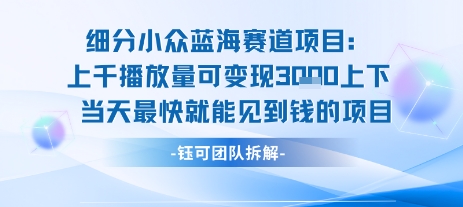 小众蓝海赛道项目：当天变现1k+适合新手操作 +适合长期玩-创薯资源