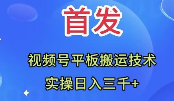 全网首发：视频号平板搬运技术，实操日入三千＋-创薯资源