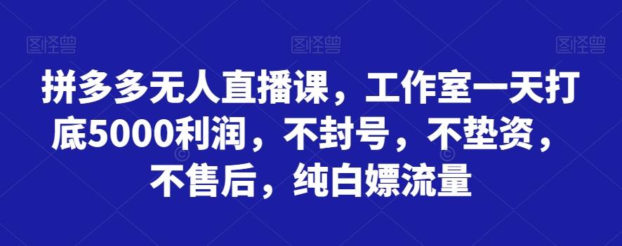 拼多多无人直播课，工作室一天打底5000利润，不封号，不垫资，不售后，纯白嫖流量-创薯资源