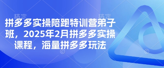 拼多多实操陪跑特训营弟子班，2025年2月拼多多实操课程，海量拼多多玩法-创薯资源