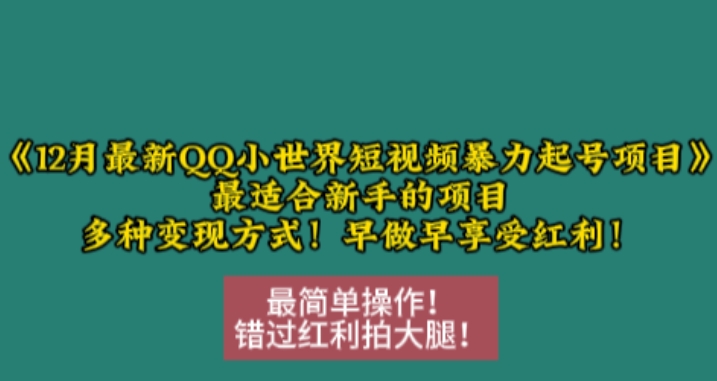 12月最新QQ小世界短视频暴力起号项目，最适合新手的项目，多种变现方式-创薯资源