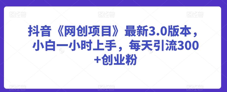 抖音《网创项目》最新3.0版本，小白一小时上手，每天引流300+创业粉【揭秘】-创薯资源