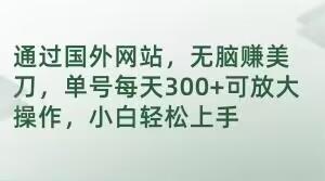 通过国外网站，无脑赚美刀，单号每天300+可放大操作，小白轻松上手【揭秘】-创薯资源
