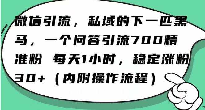 怎么搞精准创业粉？微信新赛道，每天一小时，利用Ai一个问答日引100精准粉-创薯资源