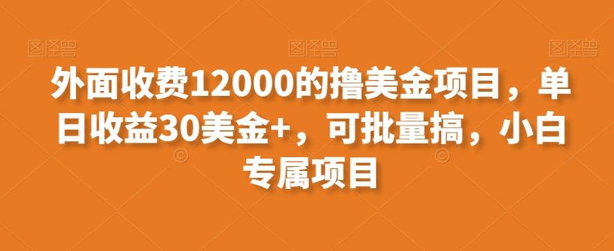 外面收费12000的撸美金项目，单日收益30美金+，可批量搞，小白专属项目-创薯资源