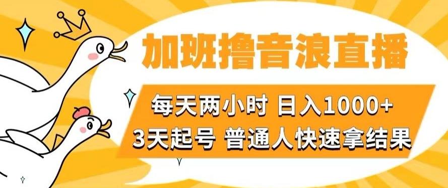 加班撸音浪直播，每天两小时，日入1000+，直播话术才3句，3天起号，普通人快速拿结果【揭秘】-创薯资源