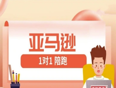亚马逊1对1陪跑课(FBA/FBM精铺)跨境亚马逊教程-创薯资源