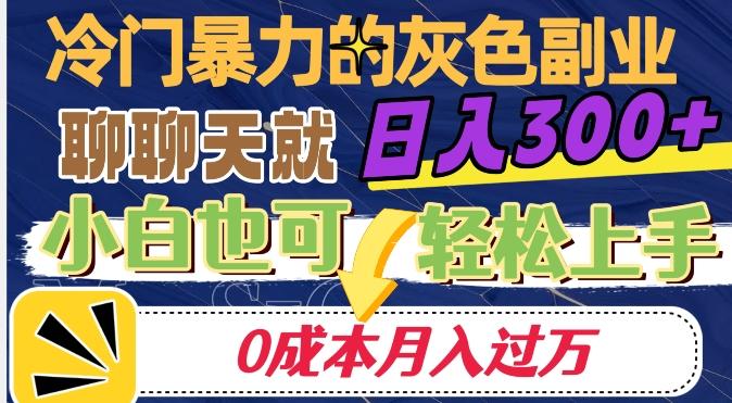冷门暴利的副业项目，聊聊天就能日入300+，0成本月入过万【揭秘】-创薯资源