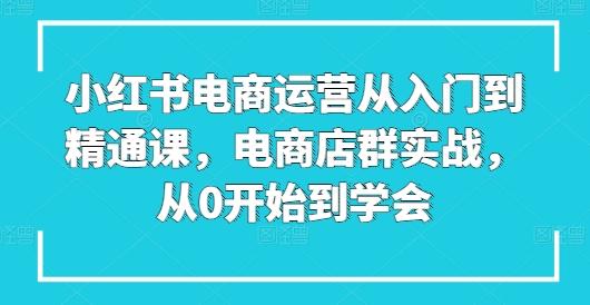 小红书电商运营从入门到精通课，电商店群实战，从0开始到学会-创薯资源
