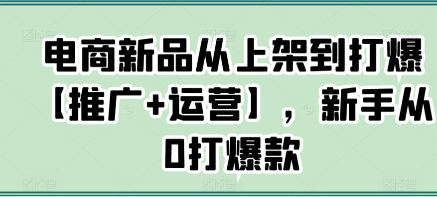 电商新品从上架到打爆【推广+运营】，新手从0打爆款-创薯资源