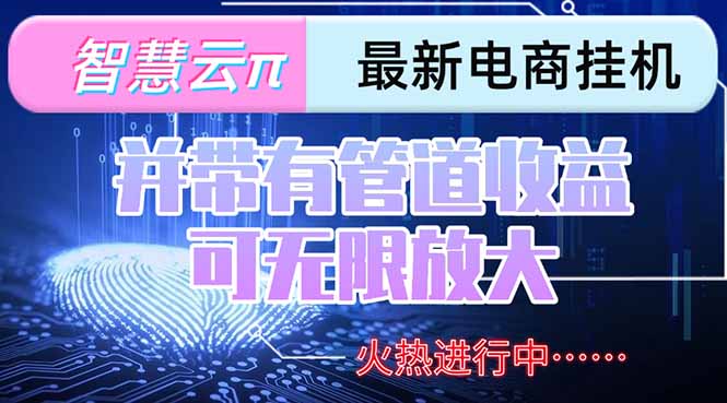 智慧云π电脑挂机单机每天收益300—500+ 并带有团队管道收益 可无限放大-创薯资源