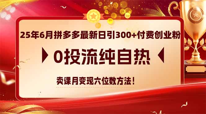 25年6月拼多多最新日引300+付费创业粉，0投流纯自热 卖课月变现六位数方法-创薯资源