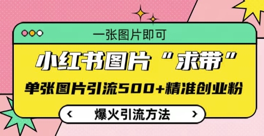 小红书图片‘求带’爆火引流法，单张图片引流500+精准创业粉【揭秘】-创薯资源