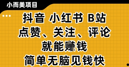 小而美的项目，抖音小红书B站视频点赞、关注、评论就能挣钱，简单无脑立见收益，妥妥的零撸项目【揭秘】-创薯资源