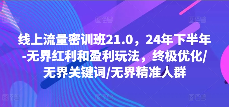 线上流量密训班21.0，24年下半年-无界红利和盈利玩法，终极优化/无界关键词/无界精准人群-创薯资源