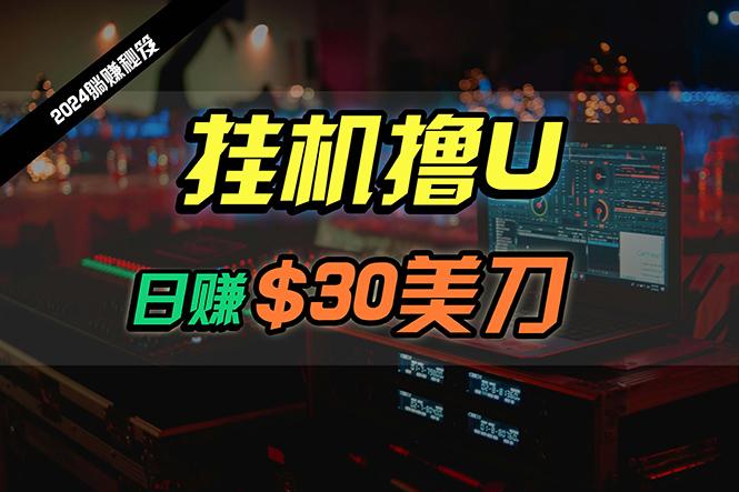 (10013期)日赚30美刀，2024最新海外挂机撸U内部项目，全程无人值守，可批量放大-创薯资源