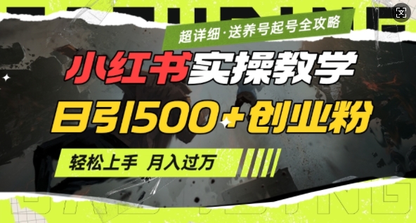 2月小红书最新日引500+创业粉实操教学【超详细】小白轻松上手，月入1W+，附小红书养号起号SOP-创薯资源