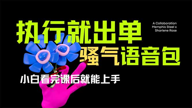 爆火全网的开车导航骚气语音包,只要执行就出单，小白看完课程就能实操…-创薯资源
