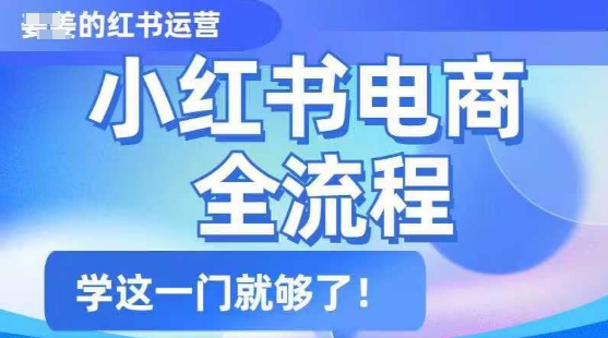 小红书电商全流程，精简易懂，从入门到精通，学这一门就够了-创薯资源