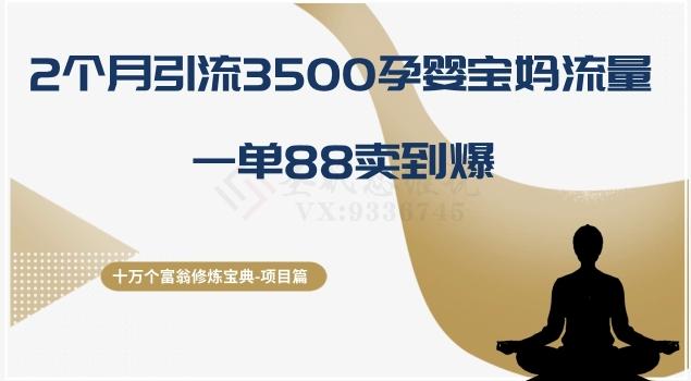 十万个富翁修炼宝典之13.2个月引流3500孕婴宝妈流量，一单88卖到爆-创薯资源