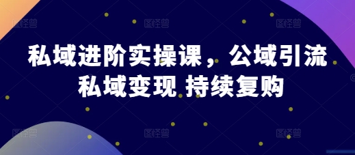 私域进阶实操课，公域引流 私域变现 持续复购-创薯资源