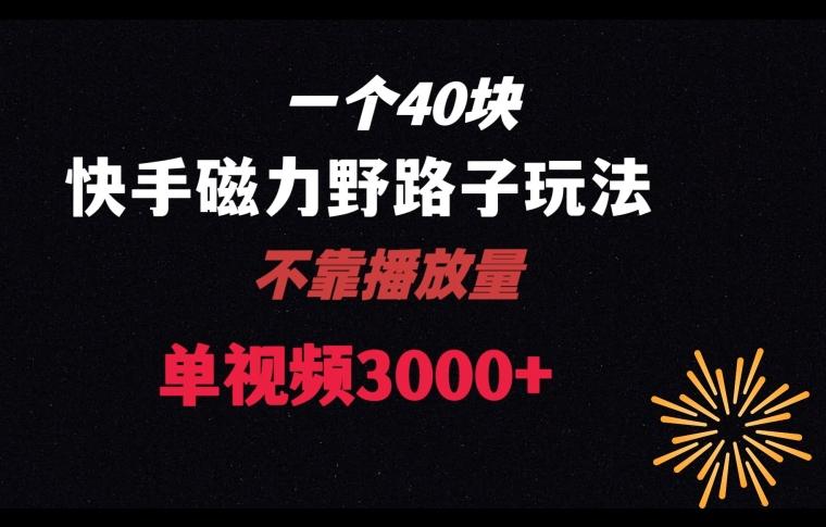 一个40块，快手联合美团磁力新玩法，无视机制野路子玩法，单视频收益4位数【揭秘】-创薯资源