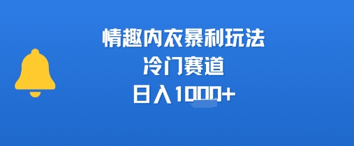 情趣内衣暴利玩法，冷门赛道，日入1k+-创薯资源