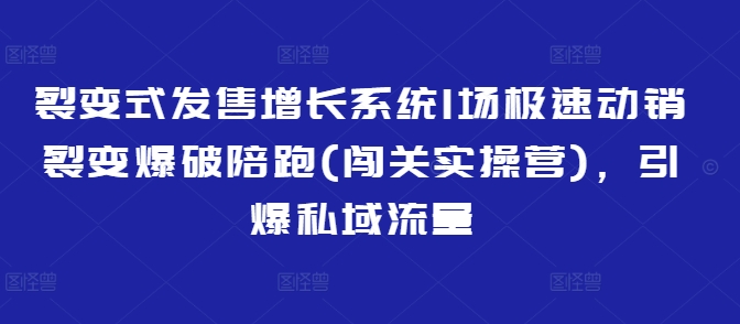 裂变式发售增长系统1场极速动销裂变爆破陪跑(闯关实操营)，引爆私域流量-创薯资源