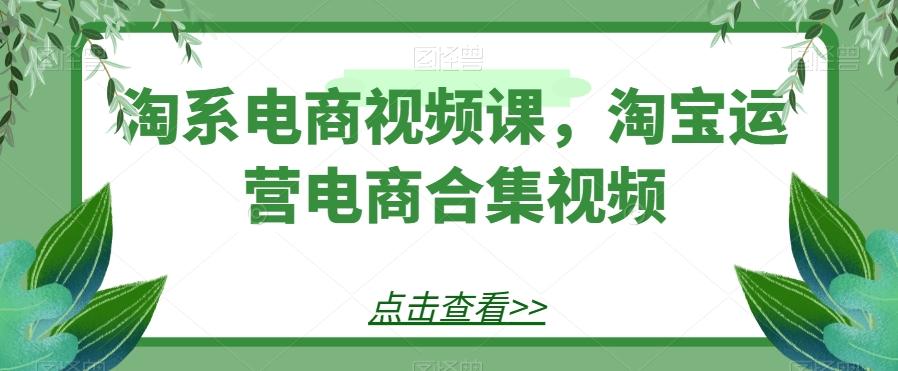 淘系电商视频课，淘宝运营电商合集视频-创薯资源